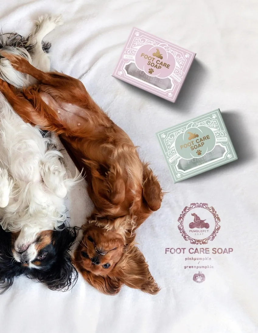 펌블펫솝_강아지 발세정제 발비누 산책 발사탕 가려움 (Foot Care Soap)핑크 칼라민 상세정보 1