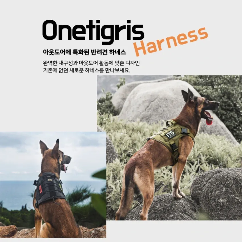 원티그리스 앞섬방지 하네스 대형견 진돗개 가슴줄 앞고리 골리앗 K9 상세정보 2