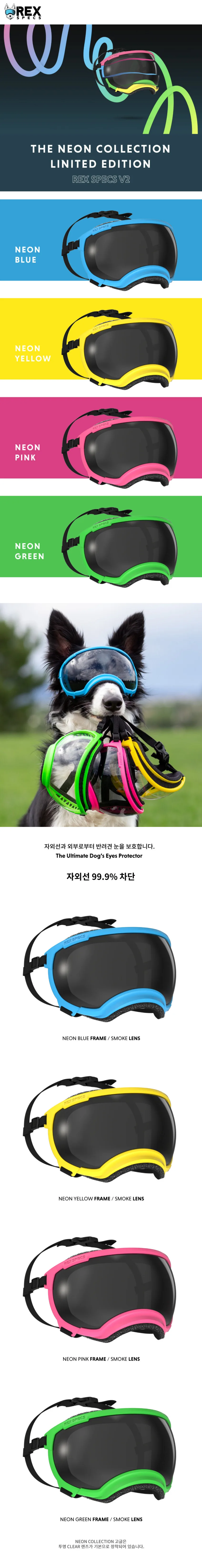 렉스스펙스 V2 네온 컬렉션 한정판 반려견 고글 상세정보 1