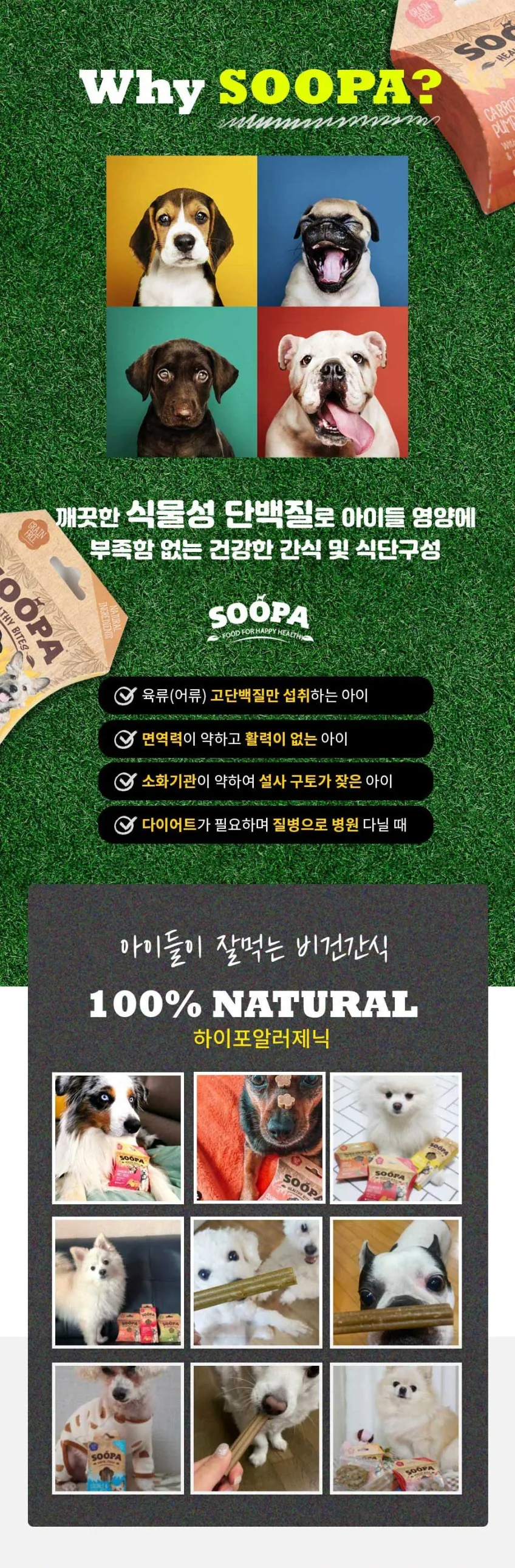 수파 그레인프리 100%식물성 건강한 야채 덴탈스틱 사과&블루베리 100g 상세정보 2