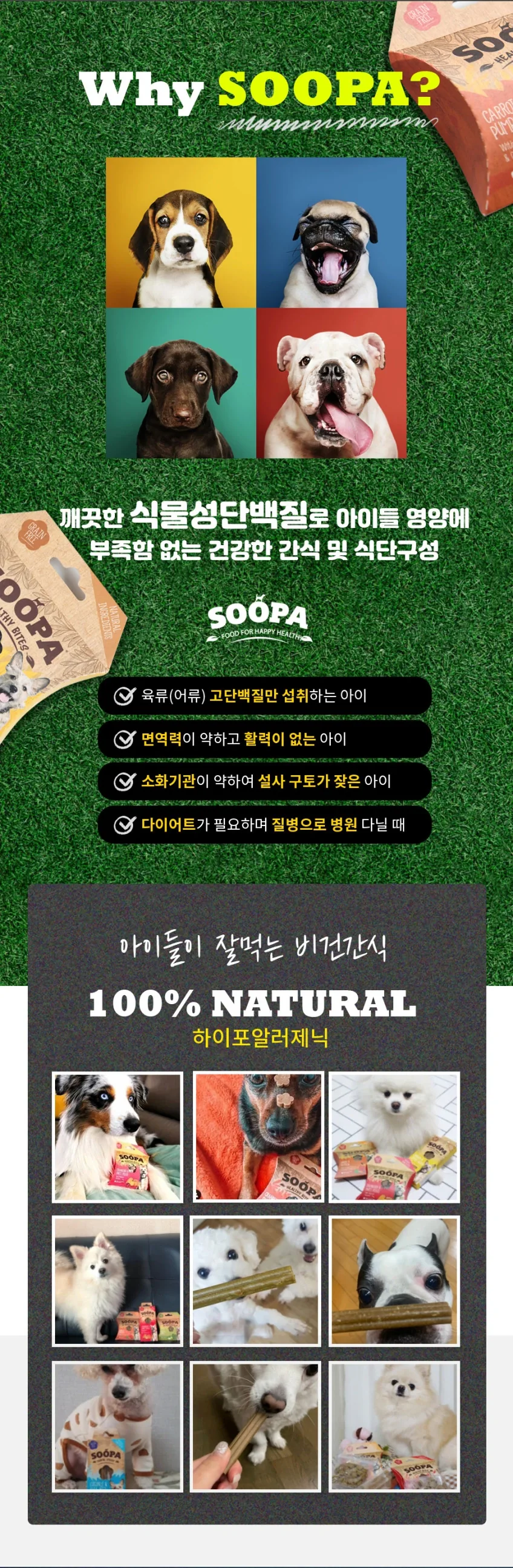 수파 그레인프리 100%식물성 건강한 야채 덴탈스틱 바나나&호박100g 상세정보 2