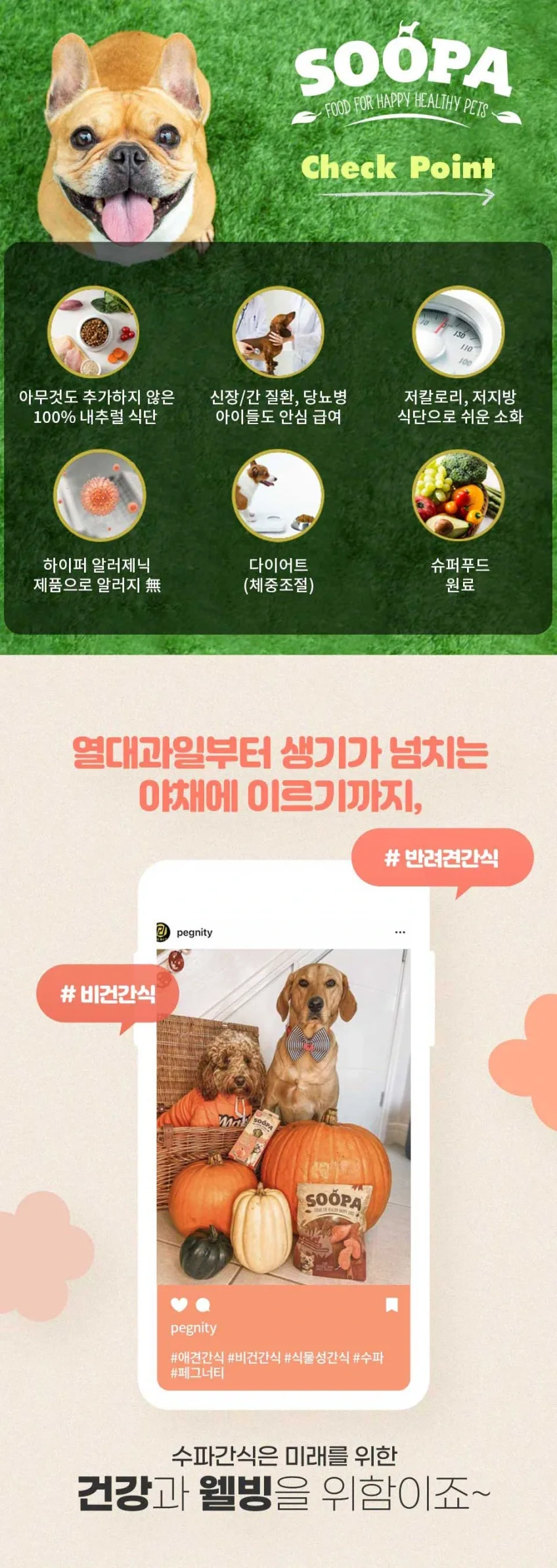 수파 그레인프리 100%식물성 헬시바이트 비건간식 야채 사과&블루베리 50g 상세정보 4