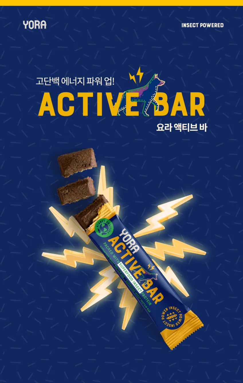 요라 액티브바 곤충단백질 고단백질 프로틴바 35g 12개입 1박스 상세정보 1
