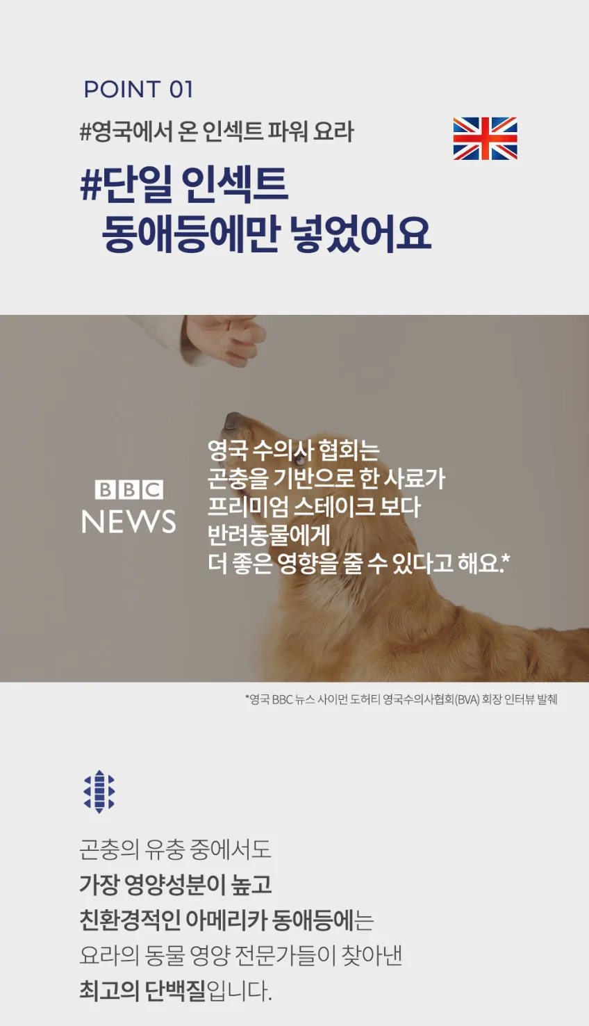 요라 액티브바 곤충단백질 고단백질 프로틴바 35g 12개입 1박스 상세정보 5