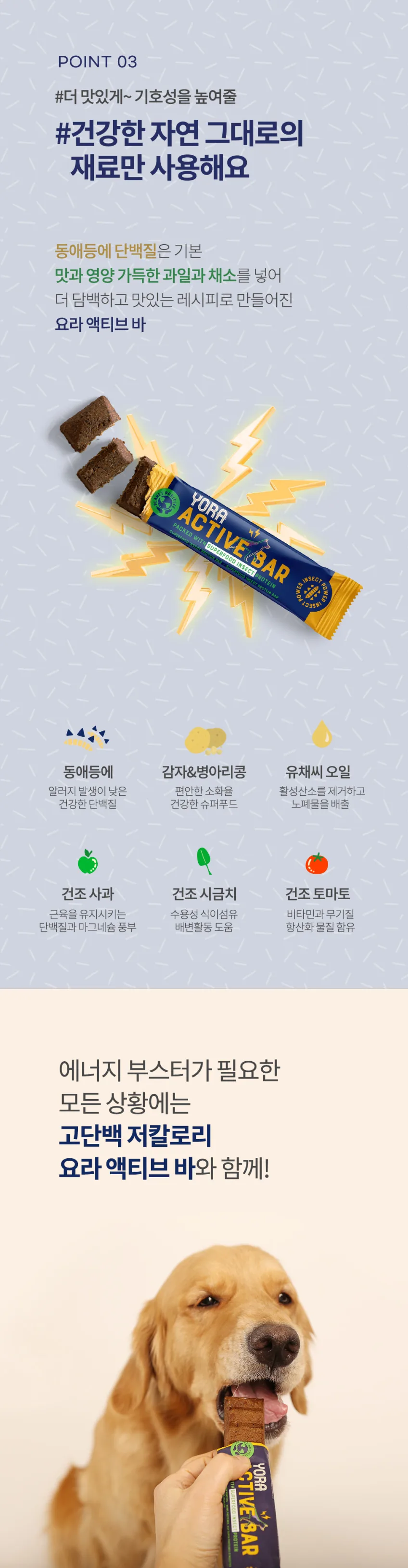 요라 액티브바 곤충단백질 고단백질 프로틴바 35g 12개입 1박스 상세정보 8