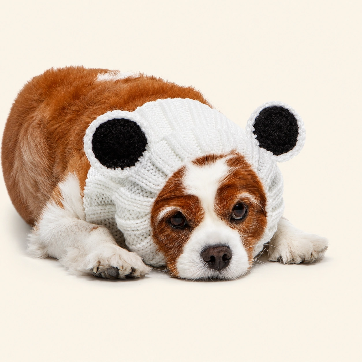 주스누드_판다 베어 (PANDA BEAR ZOO SNOOD)