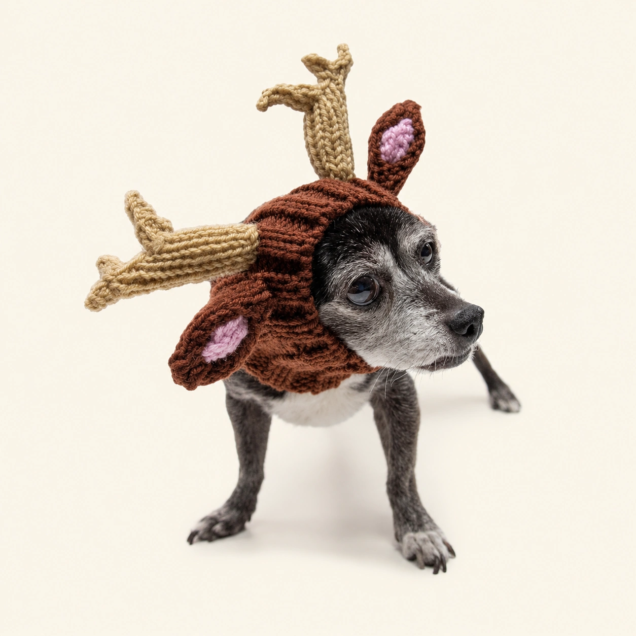 주스누드_레인디어 (REINDEER ZOO SNOOD)