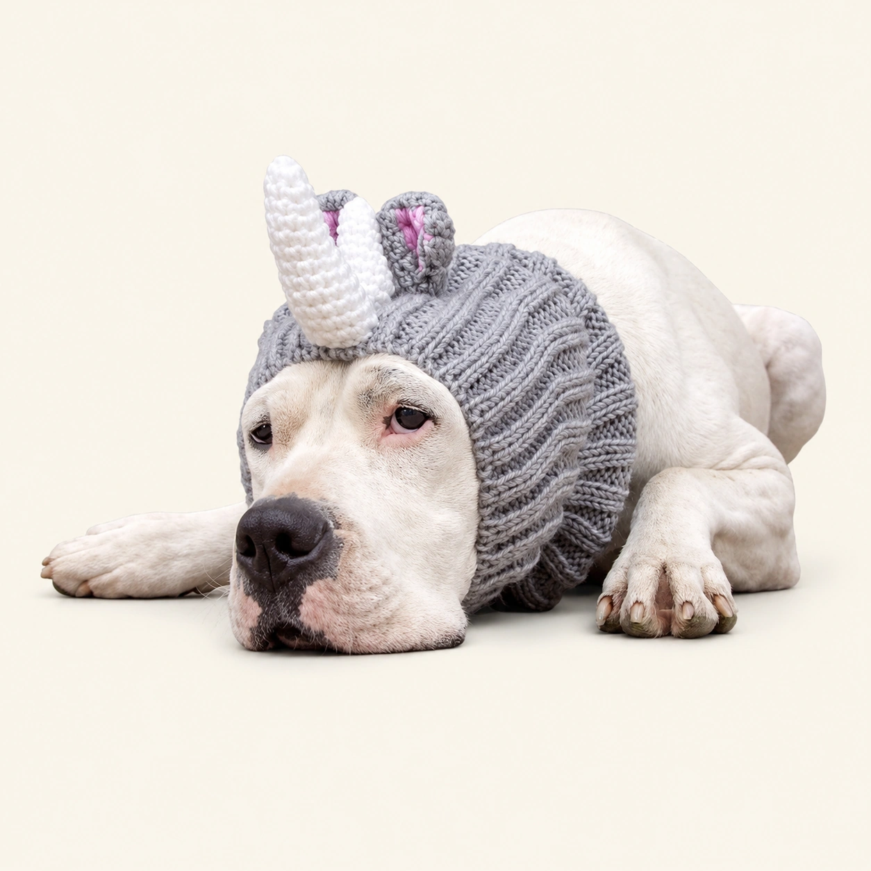 주스누드_라이노 (RHINO ZOO SNOOD)